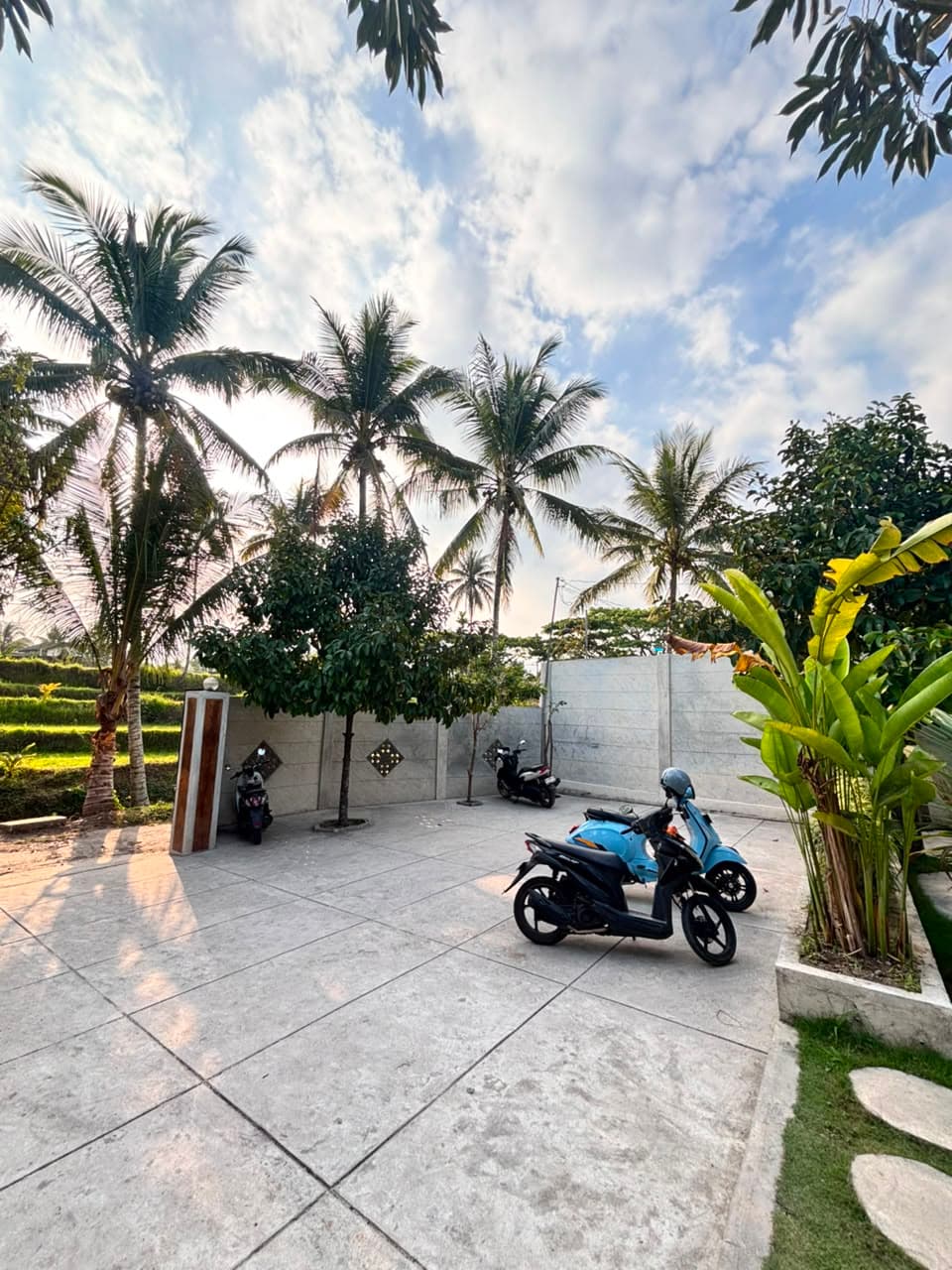 Morning Parking
