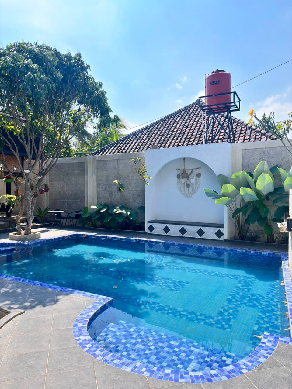 Morning Pool 1